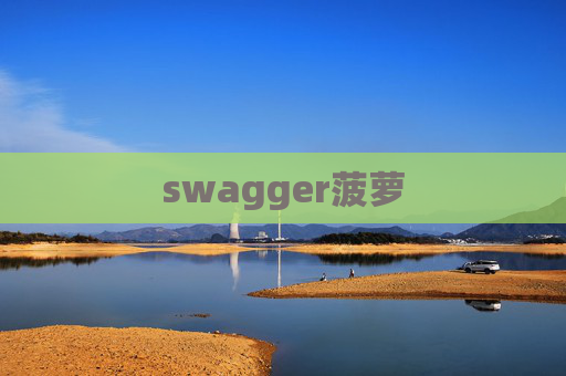 swagger菠萝